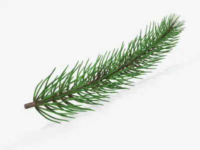 Fir tree branch 01 3D model