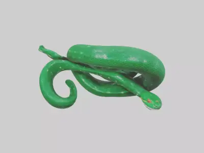 Emerald Tree Boa statue model Low-poly 3D model