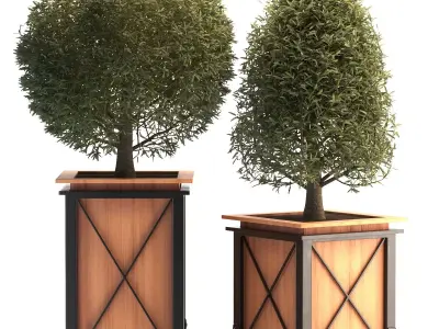 Outdoor Plant 01 3D model