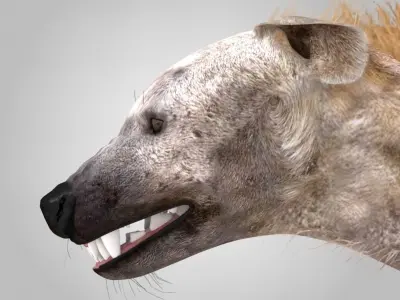 Hyena Rigged And Animated Low-poly 3D model