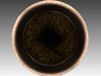 Flower Pot full with soil Free low-poly 3D model