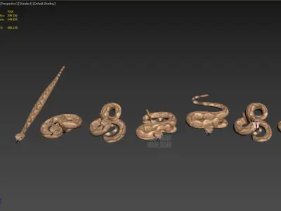 Rattlesnake snake 3D model