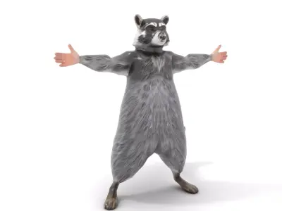 Grey Raccoon Fur model pack Low-poly 3D model