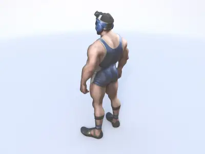 Wrestling 3D model