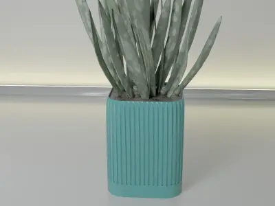 pot plant succulent 15 3D print model