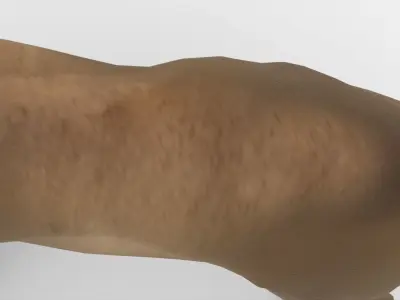 Realistic Scan Lion 3D model