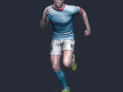  Erling Haaland 3D Printable 2 3D print model