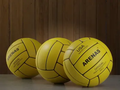 Water Polo Ball 3D model