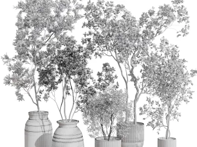 collection indoor plant 456 wooden old and concrete vase 3D model