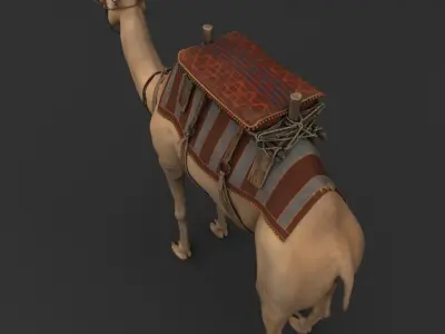 Camel with saddle 3D model