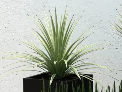 Plants collection 14 3D model