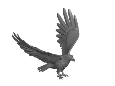  Eagle 3D model