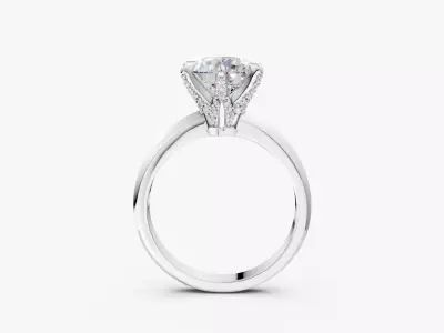 ENGAGEMENT RING-RJ03 3D print model