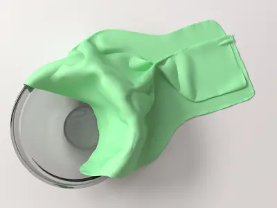 Cloth In Bowl 3D model