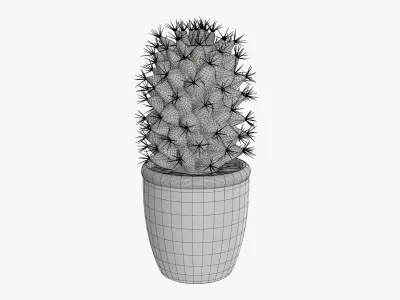 PBR Potted Plants Vol1 3D Model Collection