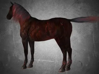 Horse - War No Gear 3D model