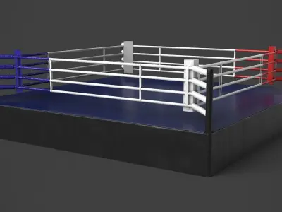 Boxing Ring 3D model