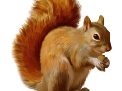realistic squirrel eating nut Low-poly 3D model