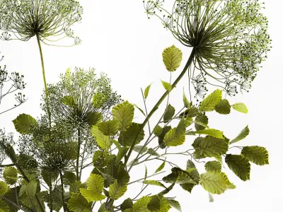 Decorative Bouquets From Branches In Vases 240 3D model