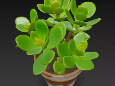 jade plant pot 3D model