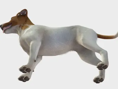 Dog - Jack Russell Terrier Low-poly 3D model