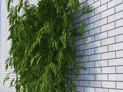 Dense Bamboo Against Wall  3D model