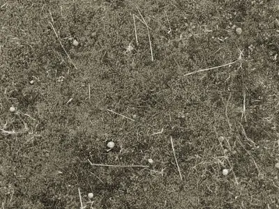 table dining and chairs 3D model