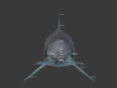 Dolphine dolphin Low-poly 3D model