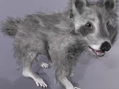 3D model Raccoon Animated Low-poly 3D model