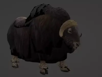 Musk Ox 3D Model Ultra Realistic Arctic Animal Low-poly 3D model