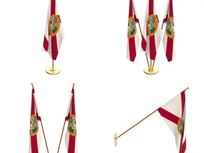 Florida Flag Pack 3D model