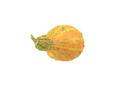Photorealistic Decorative Gourd 3D Scan 3D model