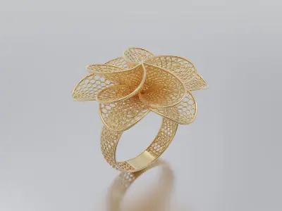 women ring 3D print model get