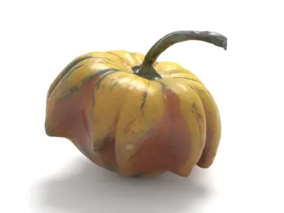 Decorative Gourd Pumpkin Squash Yellow Pepper 3D Scan 3D model