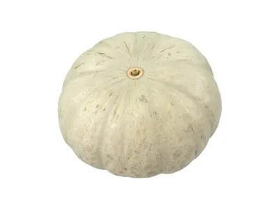Photorealistic Kabocha Squash 3D Scan 1 3D model