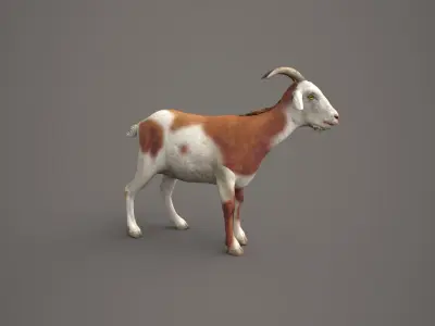 Dairy Brown Goat 3D model