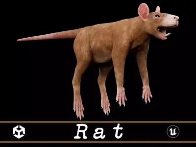 Rat - Animal  Low-poly 3D model