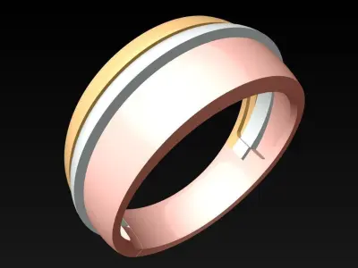 Ring N116300 3D print model