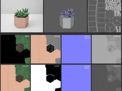 Sedum Golden Glow Copper Potted Cacutus 3D model