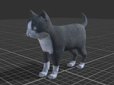 Kitten full Low-poly 3D model