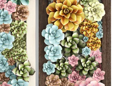 Echeveria Vertical garden 3D model