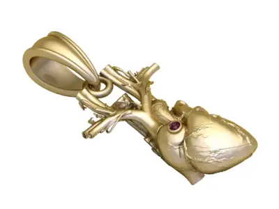 Luxury Anatomical Heart Pendant 3D Printable Art Jewelry 3D print model