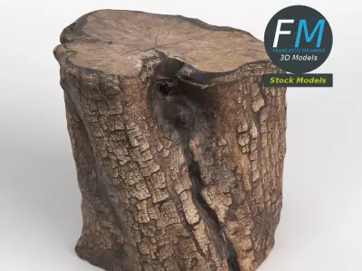 Wood log 1 3D model