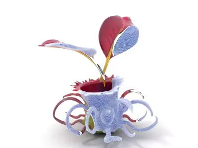Exotic Carnivorous Plant model pack Low-poly 3D model