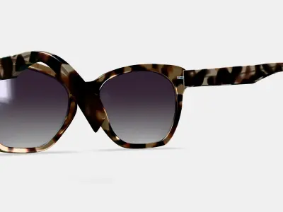 Rhea Sunglasses in Truffle Tortoise 3D model