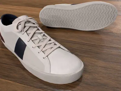 Trainer Shoes Low-poly 3D model