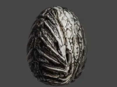 Realistic high quality Alien Egg PBR 3D model
