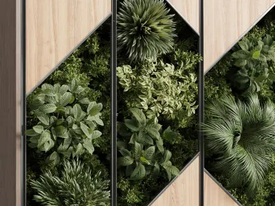 plants set partition in wooden frame - Vertical graden Low-poly 3D model