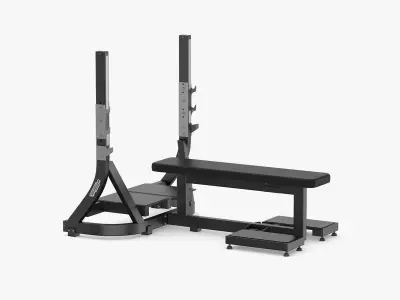 Technogym Pure Olympic Flat Bench  3D model