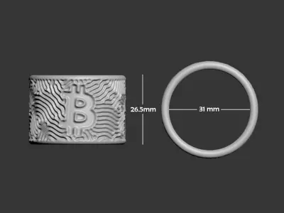Bitcoin Napkin Ring 3D print model